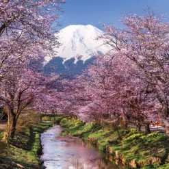 Puzzles Online Store -Puzzles Online Store clementoni fuji mountain 1000 piece puzzle 1