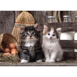 Puzzles Online Store -Puzzles Online Store clementoni lovely kittens 1000 piece puzzle 1