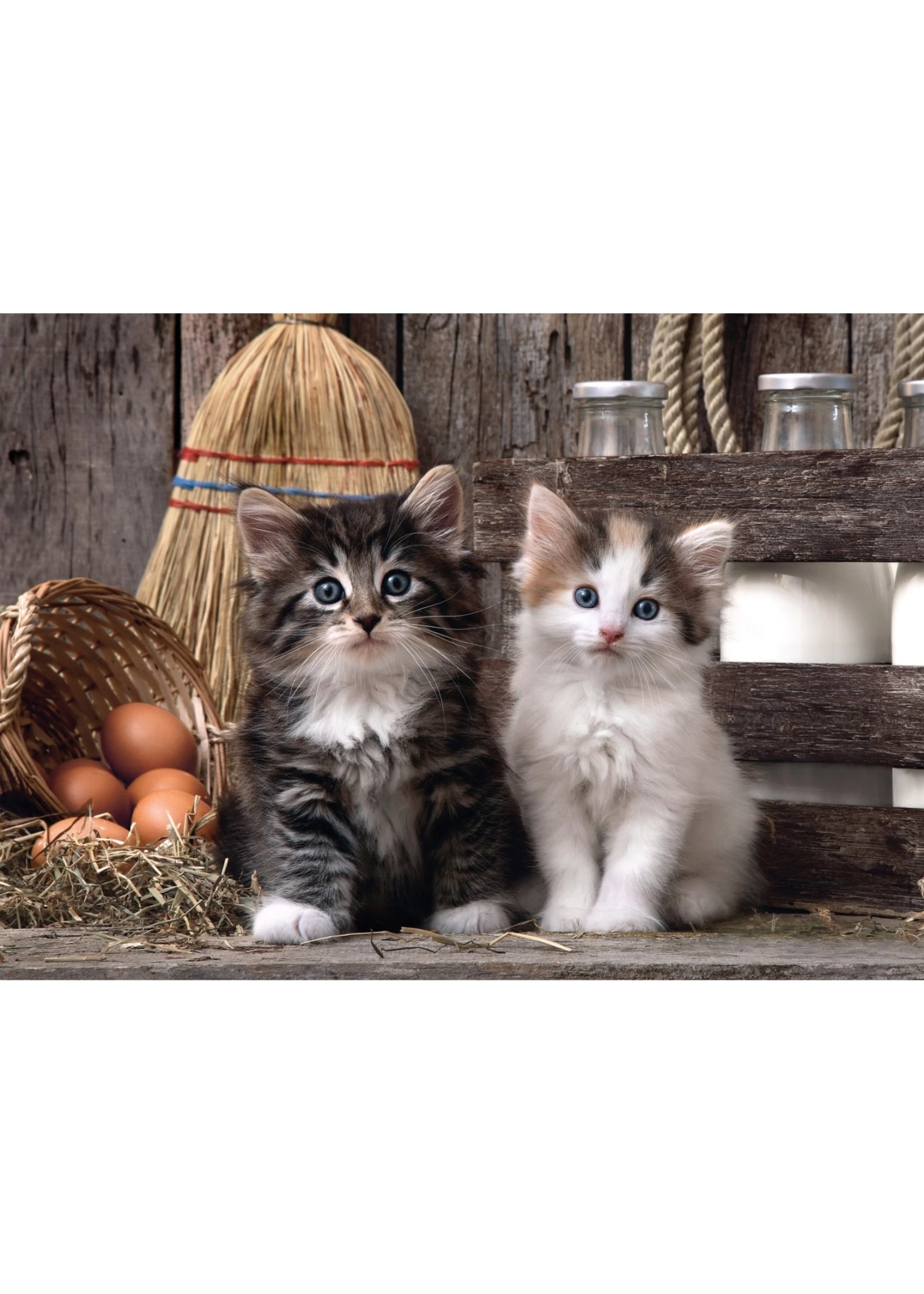 Clementoni Lovely Kittens - 1000 Piece Puzzle 4 Clementoni Lovely Kittens - 1000 Piece Puzzle - Image 2