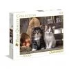 Clementoni Lovely Kittens - 1000 Piece Puzzle -Puzzles Online Store clementoni lovely kittens 1000 piece puzzle