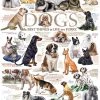 Cobble Hill Dog Quotes - 1000 Piece Puzzle 2 Cobble Hill Dog Quotes - 1000 Piece Puzzle -Puzzles Online Store cobble hill dog quotes 1000 piece puzzle