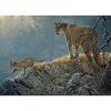 Cobble Hill Excursion - Cougar and Kits - 350 Piece Puzzle 1 Cobble Hill Excursion - Cougar and Kits - 350 Piece Puzzle -Puzzles Online Store cobble hill excursion cougar and kits 350 piece pu