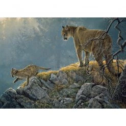 Cobble Hill Excursion - Cougar and Kits - 350 Piece Puzzle