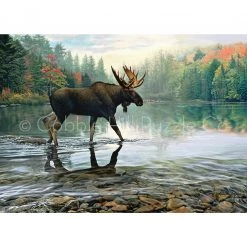 Cobble Hill Moose Crossing - 1000 Piece Puzzle