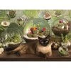 Cobble Hill Terrarium Cat - 1000 Piece Puzzle -Puzzles Online Store cobble hill terrarium cat 1000 piece puzzle