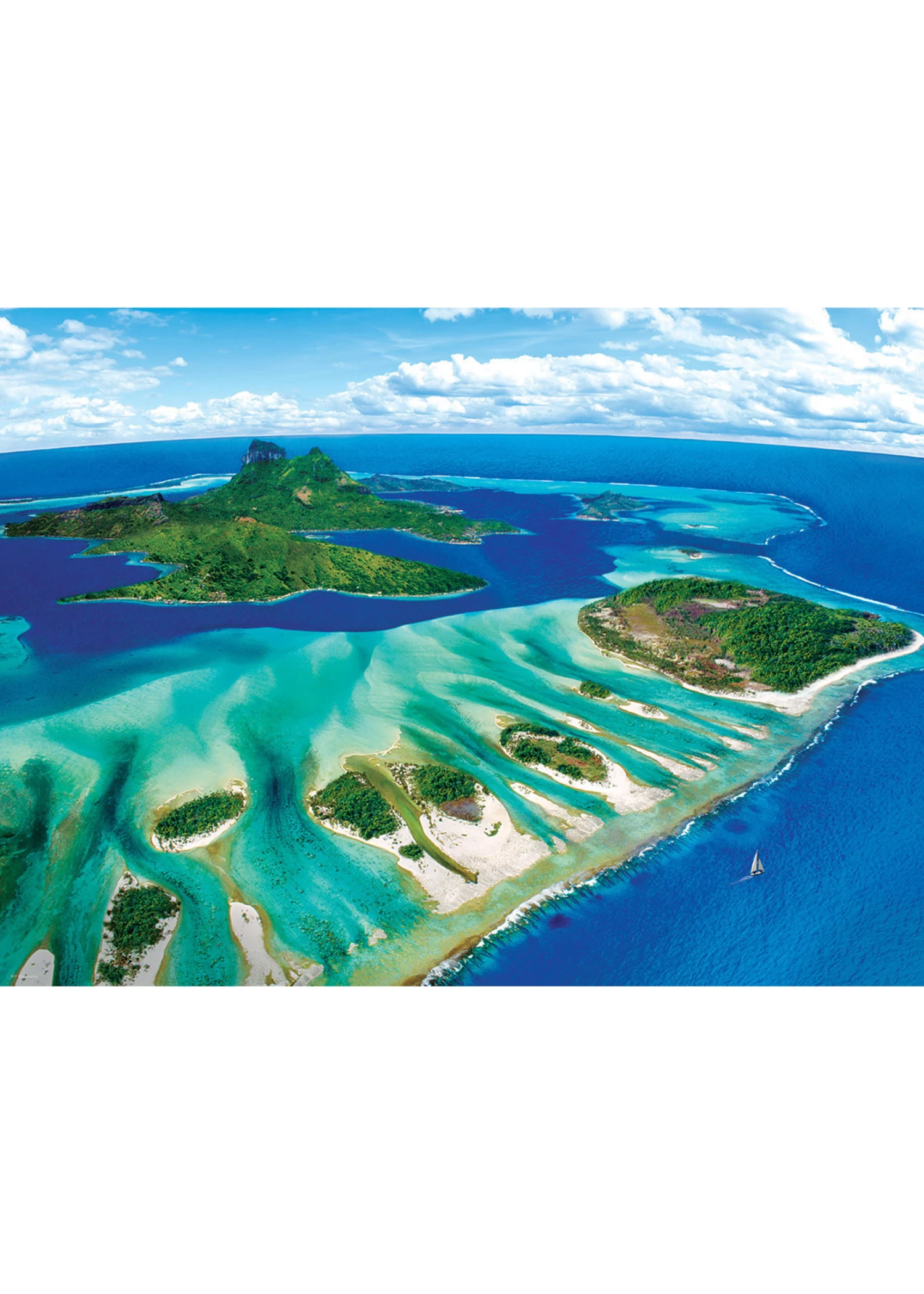 Eurographics Coral Reef - 1000 Piece Puzzle 4 Eurographics Coral Reef - 1000 Piece Puzzle - Image 2