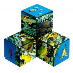 Fun In Motion Shashibo - Undersea 13 Fun In Motion Shashibo - Undersea -Puzzles Online Store fun in motion shashibo undersea 2