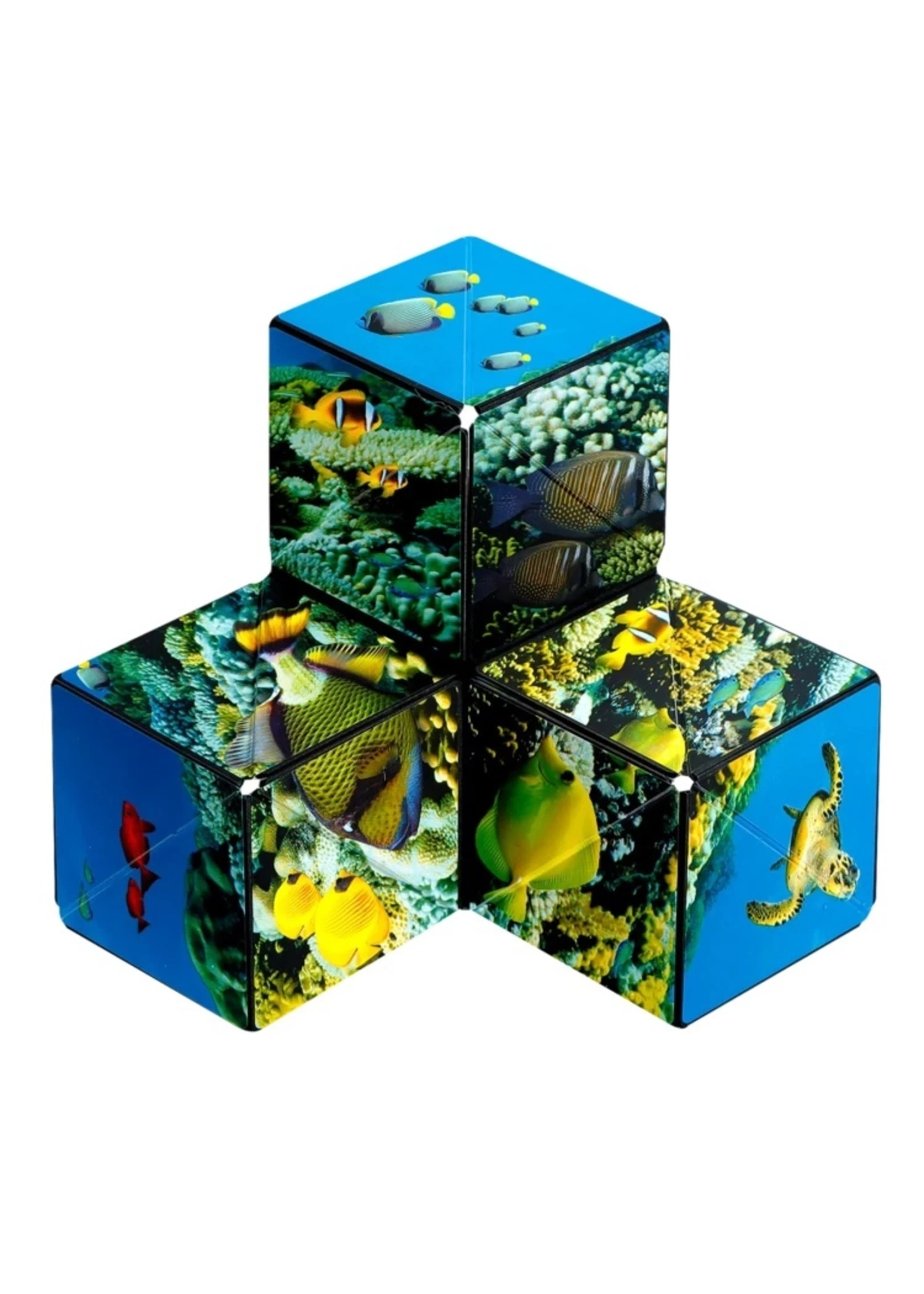 Fun In Motion Shashibo - Undersea 5 Fun In Motion Shashibo - Undersea - Image 3