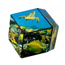 Fun In Motion Shashibo - Undersea 19 Fun In Motion Shashibo - Undersea -Puzzles Online Store fun in motion shashibo undersea 8