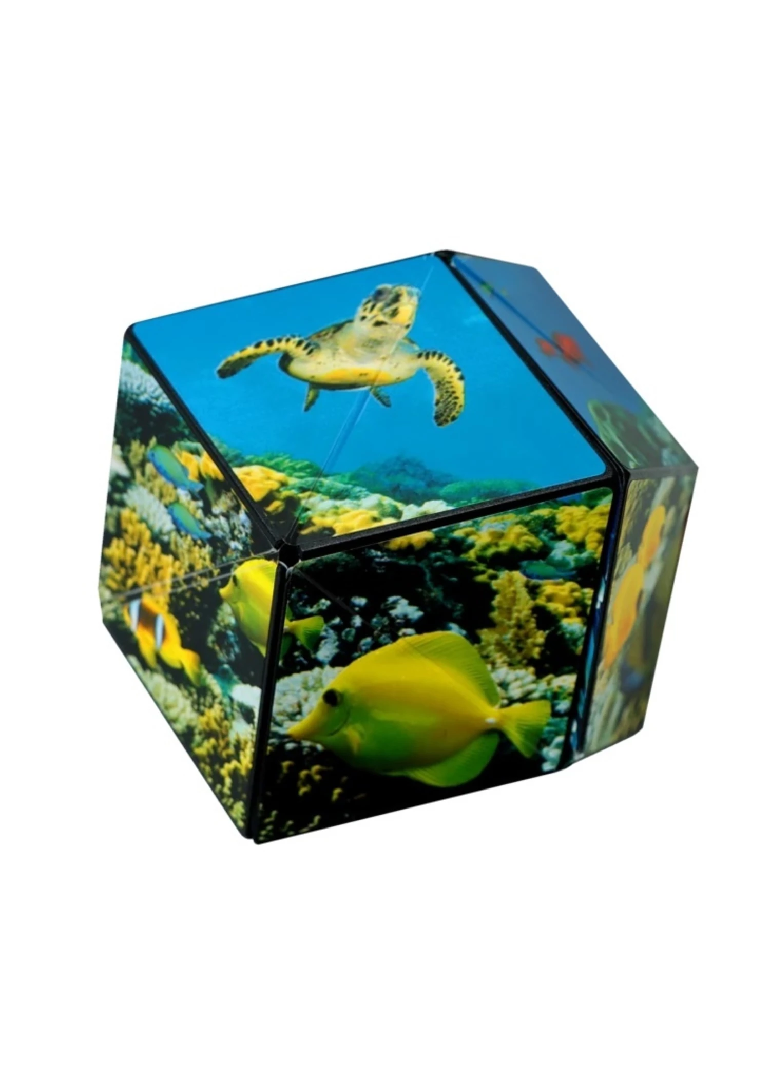 Fun In Motion Shashibo - Undersea 11 Fun In Motion Shashibo - Undersea - Image 9