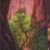 Heye Singing Canyon - 1000 Piece Puzzle -Puzzles Online Store heye singing canyon 1000 piece puzzle