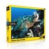 New York Puzzle Co Green Sea Turtle - 500 Piece Puzzle -Puzzles Online Store new york puzzle co green sea turtle 500 piece puzz