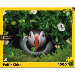 New York Puzzle Co Puffin Chick - 1000 Piece Puzzle -Puzzles Online Store new york puzzle co puffin chick 1000 piece puzzle 1