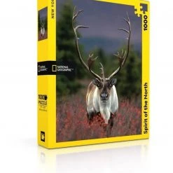 New York Puzzle Co Spirit of the North - 1000 Piece Puzzle