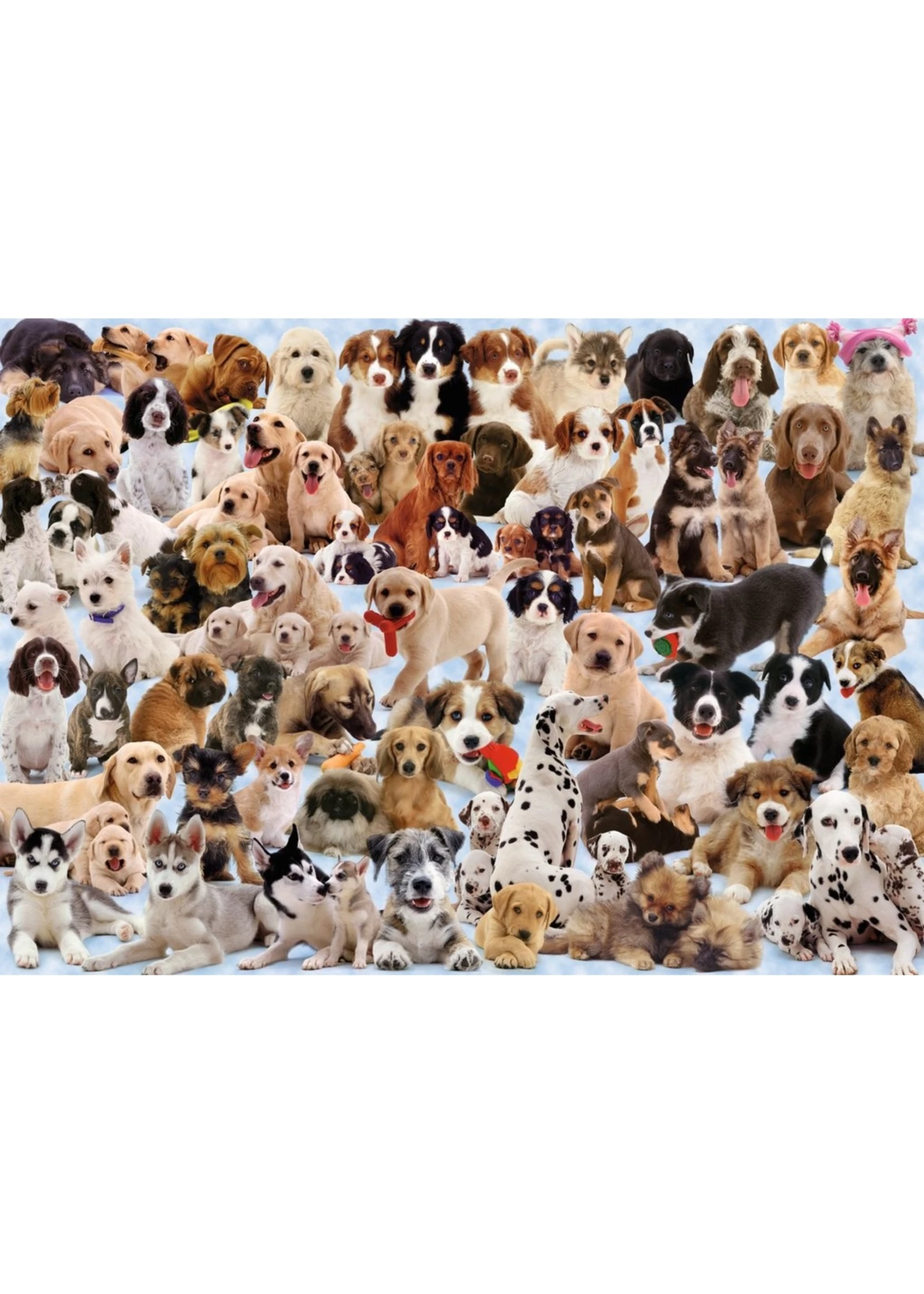 Ravensburger Dogs Galore! - 1000 Piece Puzzle 4 Ravensburger Dogs Galore! - 1000 Piece Puzzle - Image 2
