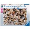Ravensburger Dogs Galore! - 1000 Piece Puzzle 2 Ravensburger Dogs Galore! - 1000 Piece Puzzle -Puzzles Online Store ravensburger dogs galore 1000 piece puzzle