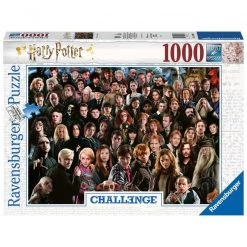 Ravensburger Harry Potter Challenge - 1000 Piece Puzzle