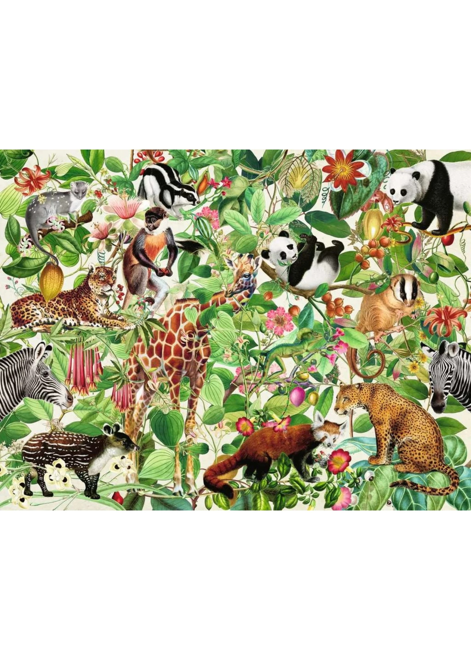 Ravensburger Jungle - 2000 Piece Puzzle 4 Ravensburger Jungle - 2000 Piece Puzzle - Image 2