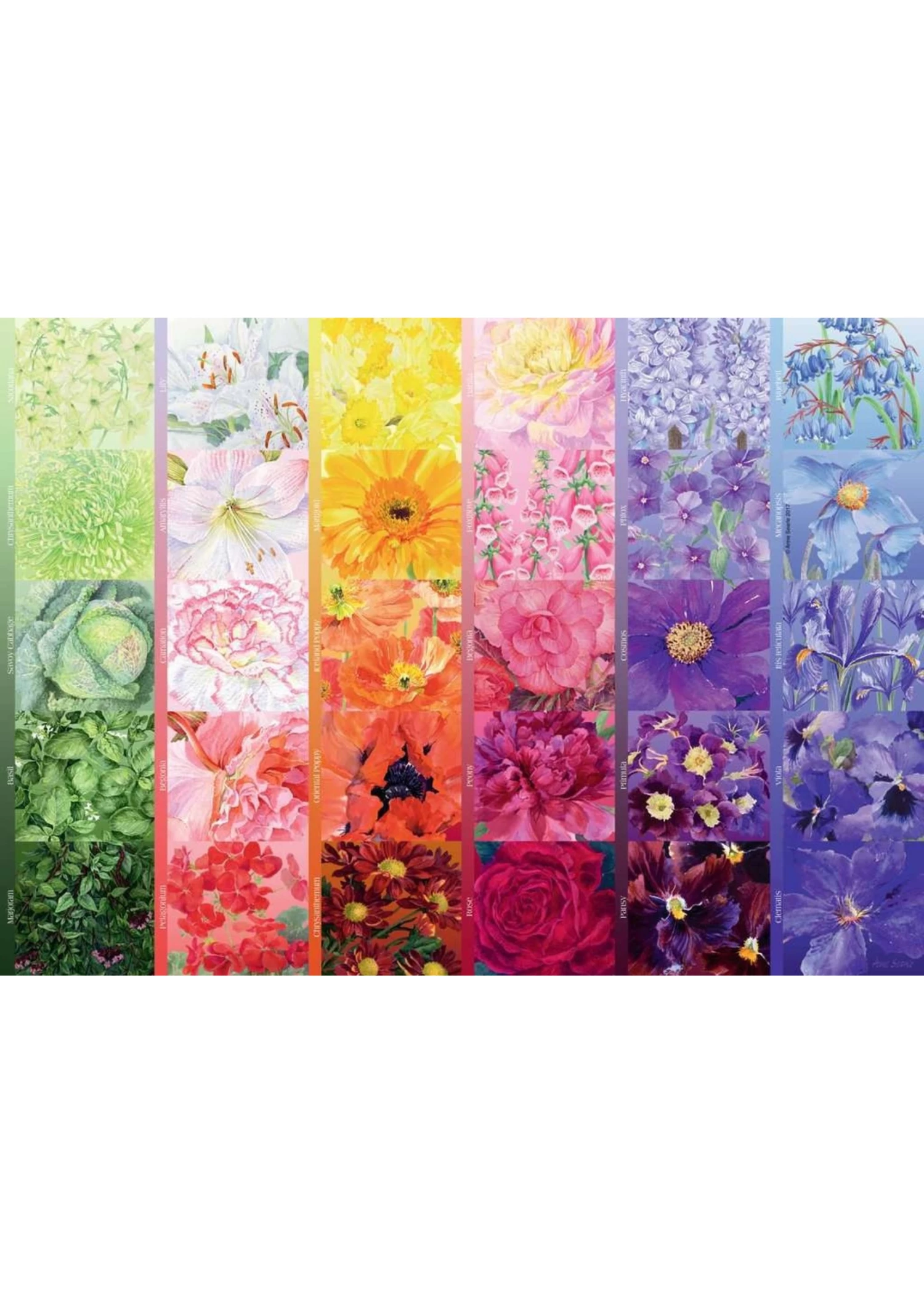 Ravensburger The Gardener's Palette No. 1 - 1000 Piece Puzzle 4 Ravensburger The Gardener's Palette No. 1 - 1000 Piece Puzzle - Image 2