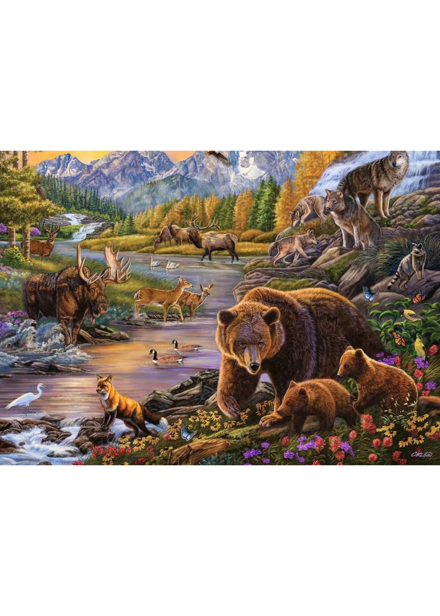 Ravensburger Wilderness - 500 Piece Puzzle 4 Ravensburger Wilderness - 500 Piece Puzzle - Image 2